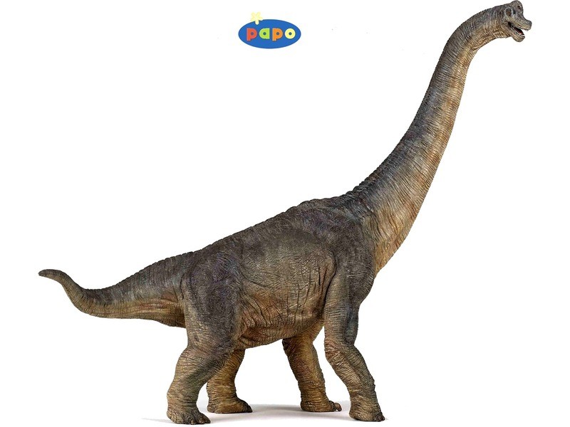 Papo brachiosaurus dínó figura 55030
