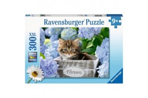 Kicsi cicák – 300 db puzzle, 49×36 cm