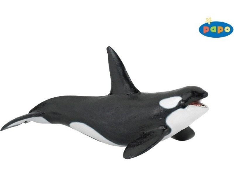 Gyilkos bálna 56000 – interaktív, hang- és fényjáték