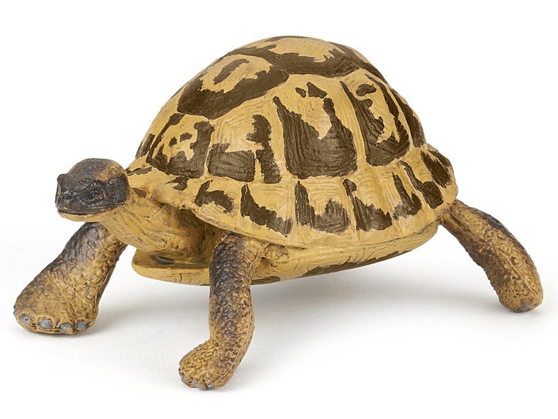 Papo Hermann teknős figura - élethű modell