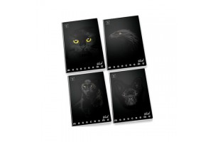 Pigna Monocromo Black A4 vonalas füzet (többféle)