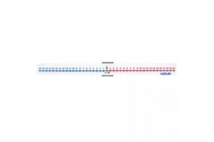 Nebulo műanyag számegyenes (-20–+20)