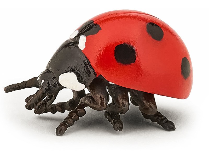 Papo Katicabogár figura - részletes kidolgozás