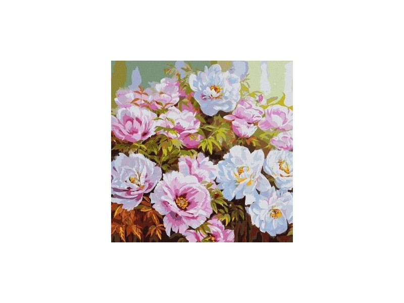 Ideyka festés számok szerint - Pünkösdi rózsák 50x50 cm