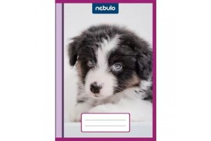 Cuki A/5 bújtatós füzetborító (véletlenszerű minta)