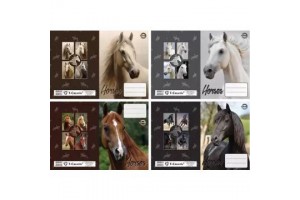 T-Creativ ló mintás A5 füzetborító