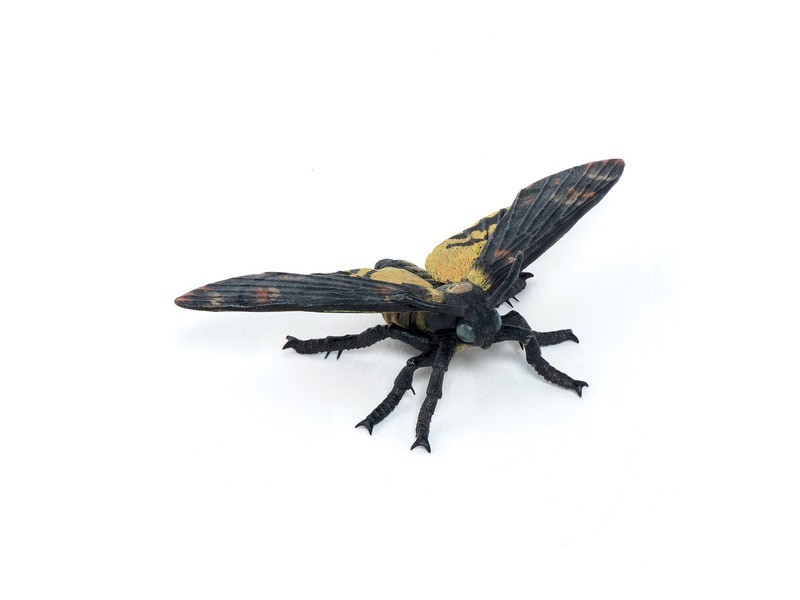 Molylepke dekoráció — részletgazdag mintázat