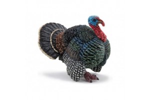 Friss pulyka - vákuumcsomagolt pulykahús