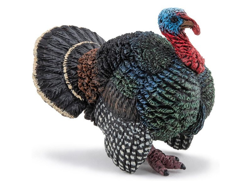 Friss pulyka - vákuumcsomagolt pulykahús