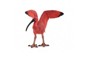 Skarlát ibisz – élénk vörös virág