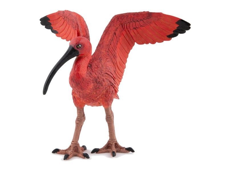 Skarlát ibisz – élénk vörös virág