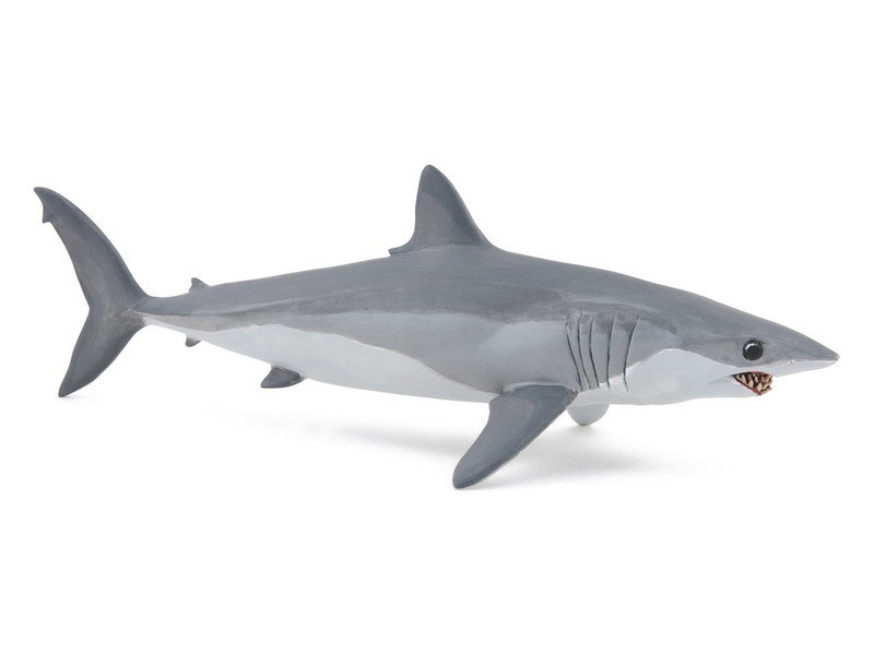 Makócápa interaktív játék - tenger felfedezése