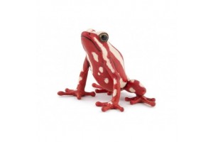 Nyílméreg béka — élénk színek, trópusi faj