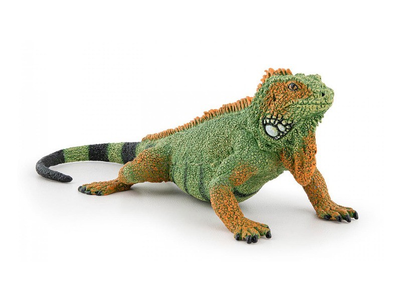 Iguána játék – színes, interaktív szórakozás