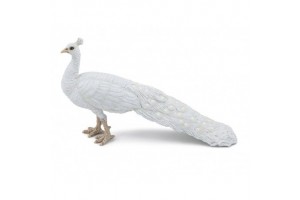 Fehér páva - kreatív fejlesztő játék