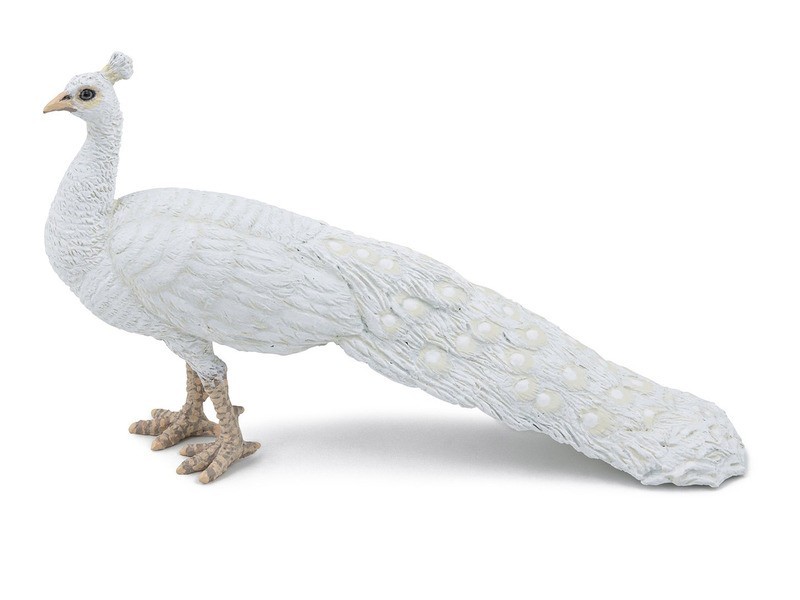 Fehér páva - kreatív fejlesztő játék