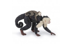 Csuklyásmajom termékfotó