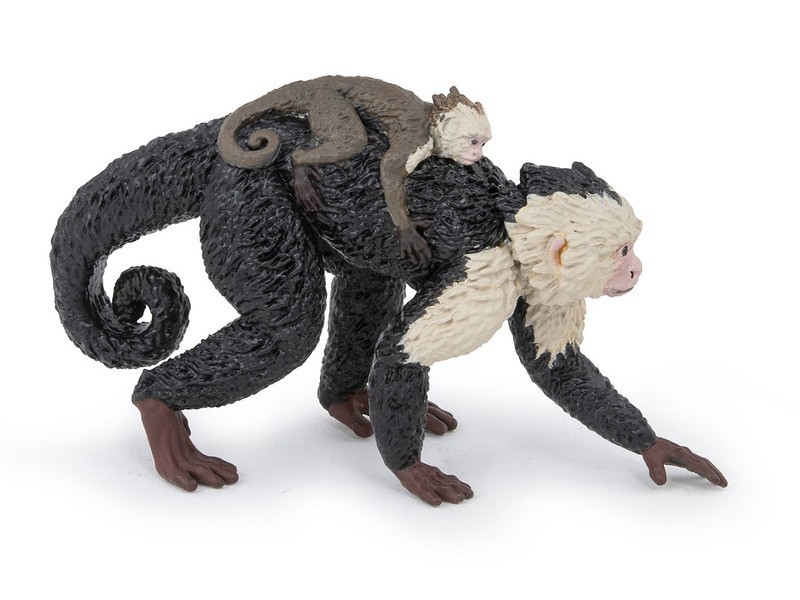 Csuklyásmajom termékfotó