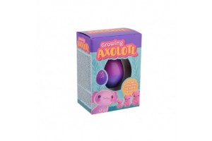 Növő axolotl tojás — 4 szín