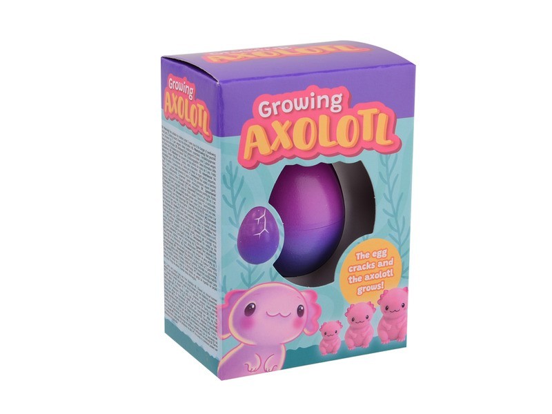 Növő axolotl tojás — 4 szín