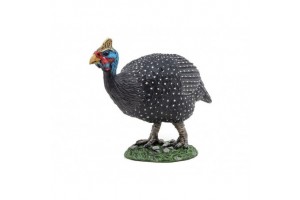 Gyöngytyúk - friss, házi nevelésű madár